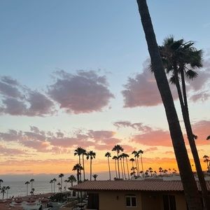 Meet your Posher, Piper